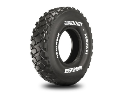 Шина Треллеборг 14.00R24 153A8 EMR 1020 TL*